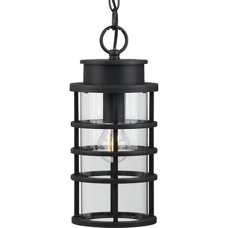 Port Royal Collection One-Light Hanging Lantern With DURASHIELD